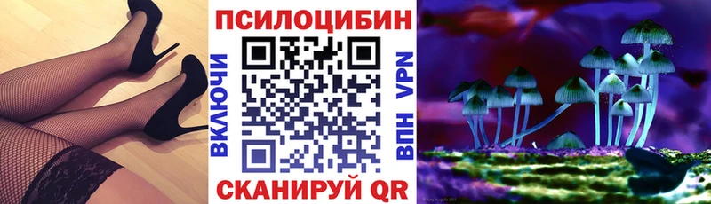Псилоцибиновые грибы Magic Shrooms  MEGA сайт  Кстово 
